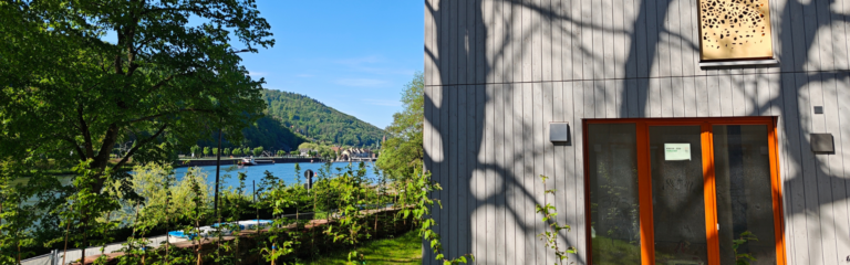 Blick auf ein Teil des Hauses rechts, links daneben Blick ins Grüne mit dem Neckar.